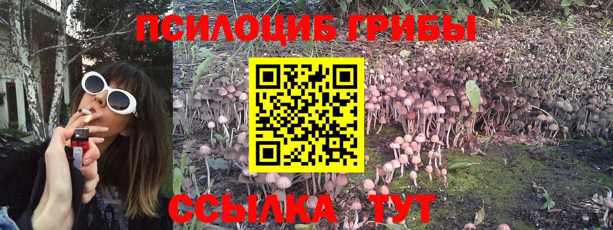 Галлюциногенные грибы Magic Shrooms Боровичи